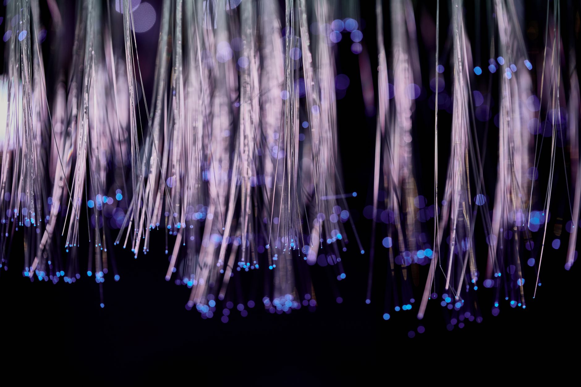 The Real Bottleneck in AI Isn't the Chip. It's the Network.